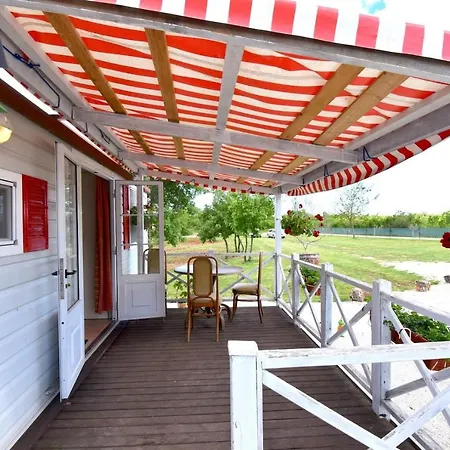 Ferienhaus Summer On Spacious Ranch