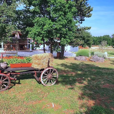 Ferienhaus Summer On Spacious Ranch