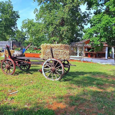 Ferienhaus Summer On Spacious Ranch *